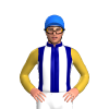 NAVY, WHITE STRIPES, GOLD SLEEVES, Blue cap