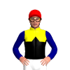 YELLOW, BLACK HALVES, BLACK DIAMOND BAND, NAVY SLEEVES, Red cap