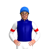 NAVY, WHITE FIVE STARS, WHITE SLEEVES , RED ARMBANDS, Blue cap