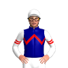 NAVY, RED ZIGZAG CHEVRON, WHITE SLEEVES, RED DOUBLE ARMBAND, White cap