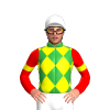 GREEN, YELLOW DIAMOND CHECK, RED SLEEVES, YELLOW ARMBAND, White cap
