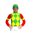 GREEN, YELLOW DIAMOND CHECK, RED SLEEVES, YELLOW ARMBAND, Green cap