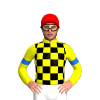 YELLOW, BLACK CHECKS, YELLOW SLEEVES, BLUE ARMBANDS, Red cap