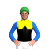 YELLOW, BLACK HALVES, BLACK DIAMOND BAND, BLUE SLEEVES, Green cap