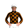 BLACK, BROWN CHECKS, STRIPES SLEEVES, White cap