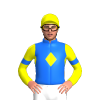 BLUE,YELLOW DIAMOND BAND,SLEEVES,BLUE ARMBANDS, Yellow cap