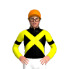 BLACK, YELLOW CROSSED SASHES, YELLOW SLEEVES, BLACK ARMBANDS, Orange cap