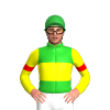 LIME GREEN, YELLOW BAND, YELLOW SLEEVES, RED ARMBANDS, Green cap