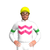 WHITE,PINK TWO ZIGZAG CHEVRON,GREEN ARMBANDS, Yellow cap
