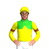 LIME GREEN,YELLOW HALVED,YELLOW DIAMOND BAND,SLEEVES,BROWN ARMBANDS, Yellow cap