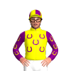 Jockey Silk