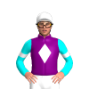 Jockey Silk