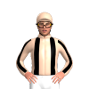 Jockey Silk