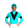 Jockey Silk