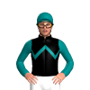 Jockey Silk