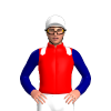 Jockey Silk