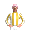 Jockey Silk