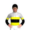 Jockey Silk