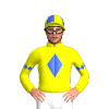 Jockey Silk