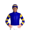 Jockey Silk