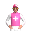 Jockey Silk