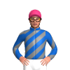 Jockey Silk