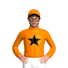 Jockey Silk