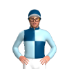 Jockey Silk