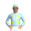 Jockey Silk