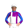 Jockey Silk