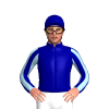 Jockey Silk