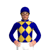 Jockey Silk