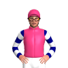Jockey Silk