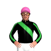 Jockey Silk
