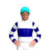 Jockey Silk