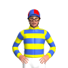 Jockey Silk