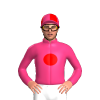 Jockey Silk