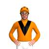 Jockey Silk