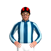 Jockey Silk