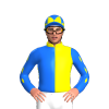 Jockey Silk