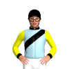 Jockey Silk