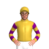 Jockey Silk