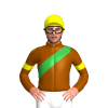 Jockey Silk