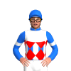 Jockey Silk