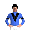 Jockey Silk