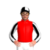 Jockey Silk