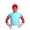 Jockey Silk
