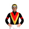 Jockey Silk