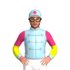Jockey Silk