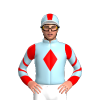 Jockey Silk